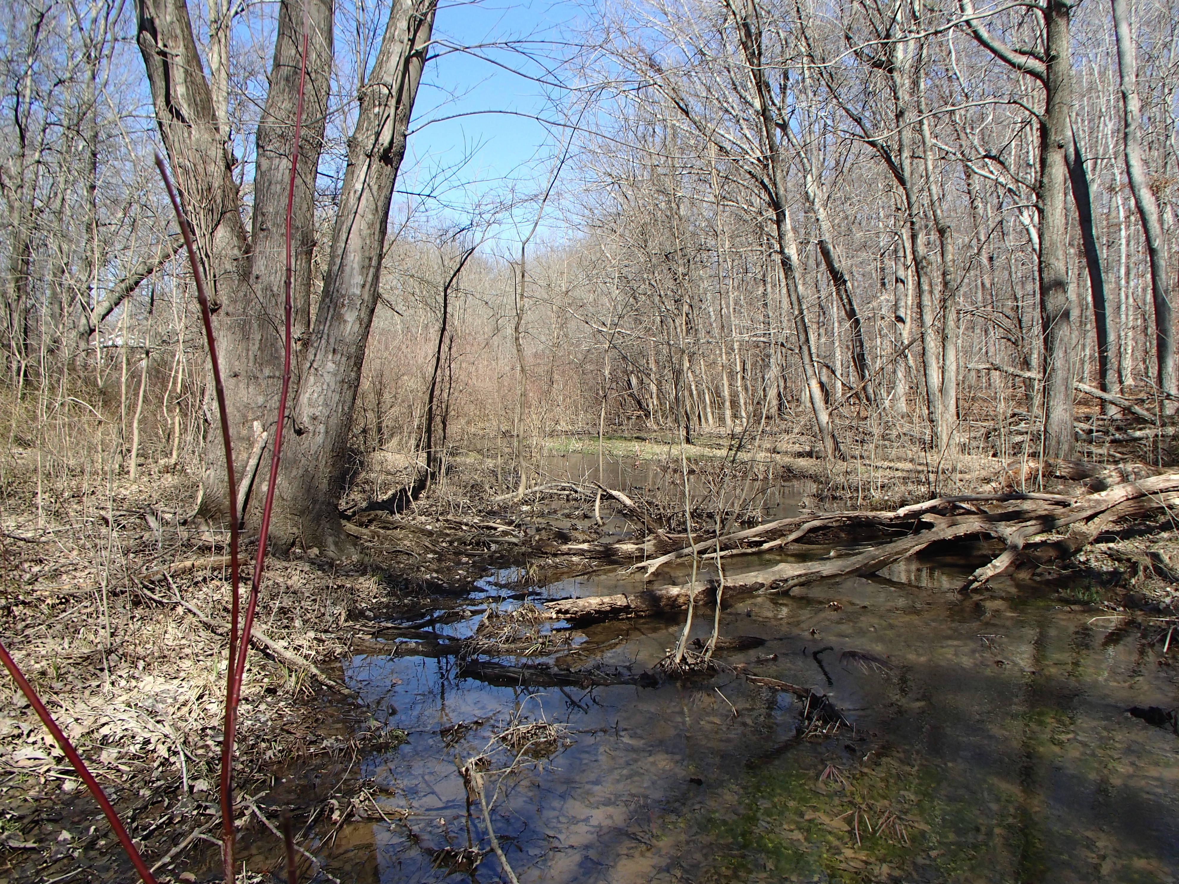 Field photo showing stream conditions at site WEST-108-X-2016_midpoint looking upstream